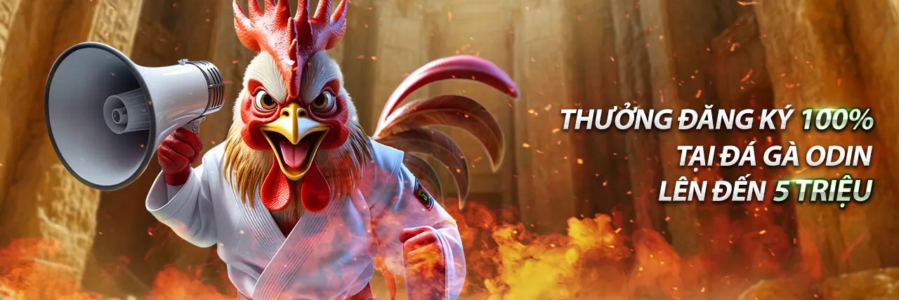 Hình ảnh đại diện cho Điều Khoản Dịch Vụ của 77win